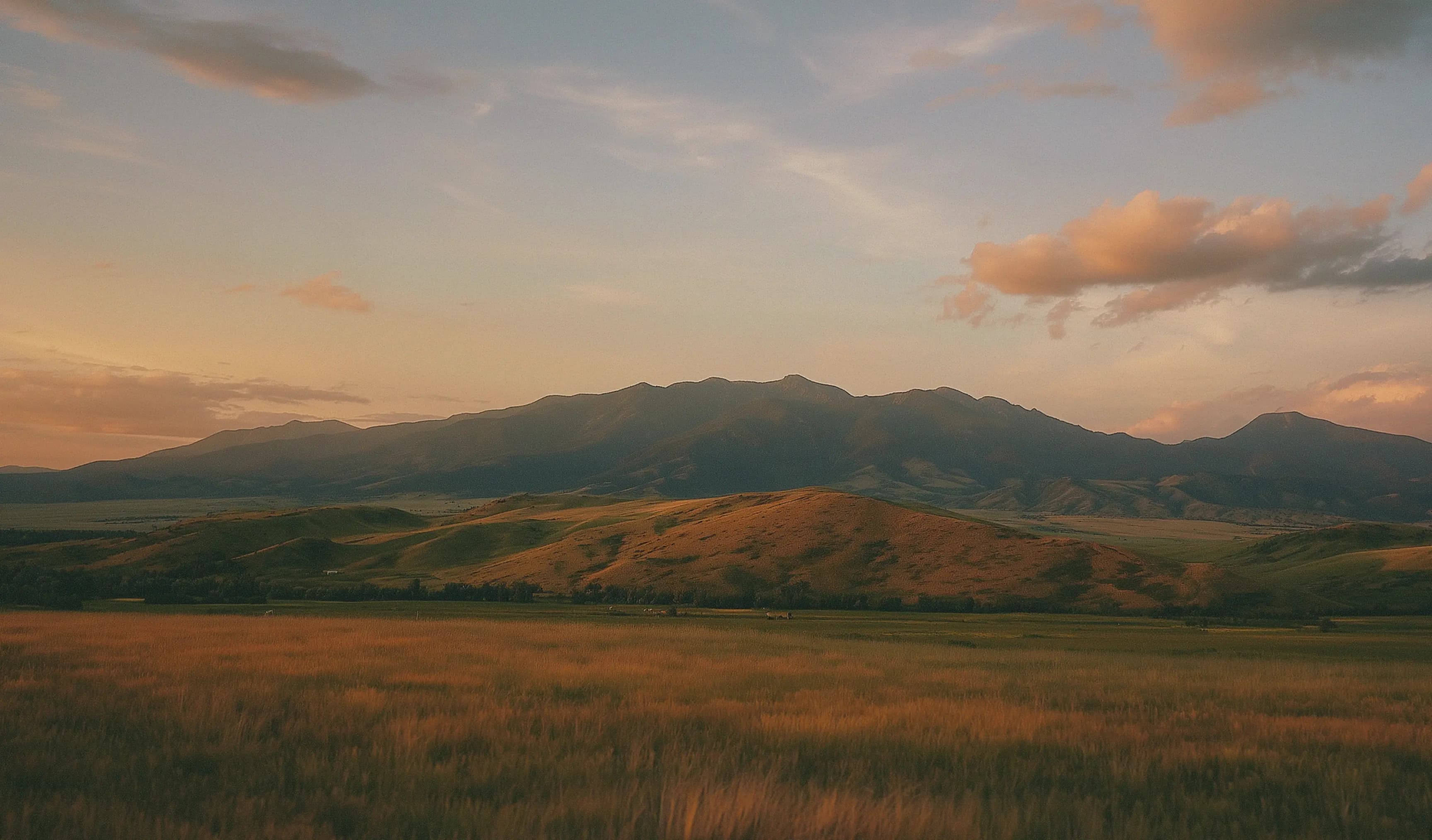 Montana mountains and open grassland at sunset